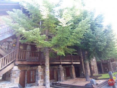 100_7514.JPG